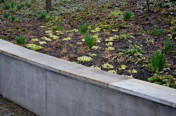 Concrete Wall Construction in Escondido