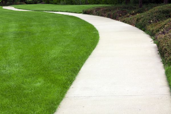 Pathway Construction in Escondido