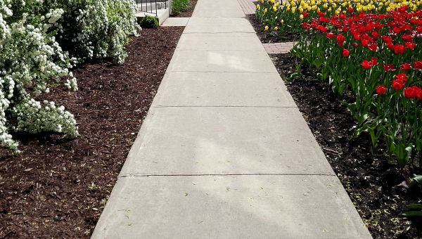 Cement Sidewalk Installation in Escondido