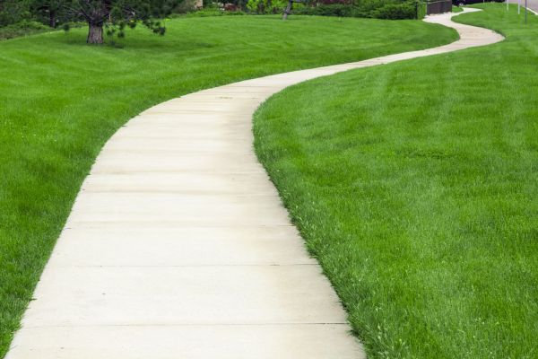 Pathway Replacement in Escondido