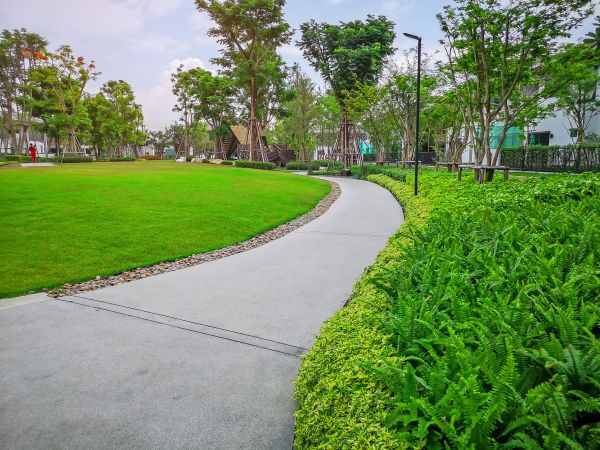 Cement Walkway Service in Escondido