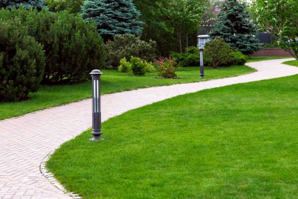 Backyard Sidewalk Installation in Escondido