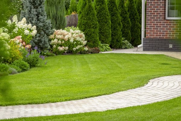 Landscape Walkway Installation in Escondido